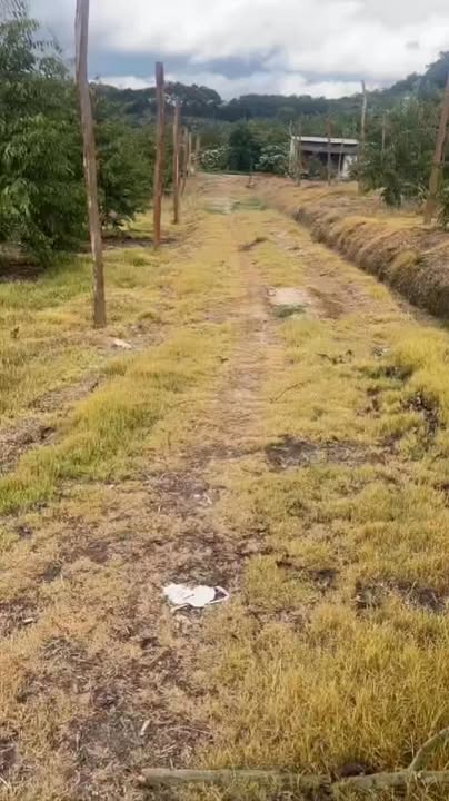 Đất nền Hòa Bắc, Di Linh 3240m² 4 tỷ - Ô tô vào tận nơi!