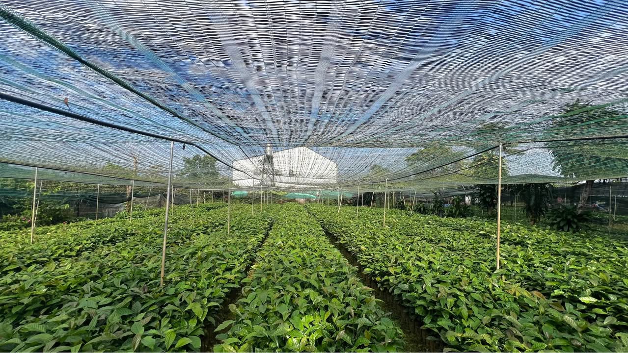 Nhà Phố Hoàng Văn Thụ Bảo Lộc 110m² - Mặt Tiền Kinh Doanh Đắc Địa