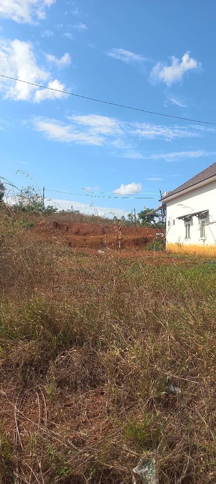 Đất nền Bảo Lộc 273m² - Sổ đỏ sẵn, kinh doanh đỉnh cao!