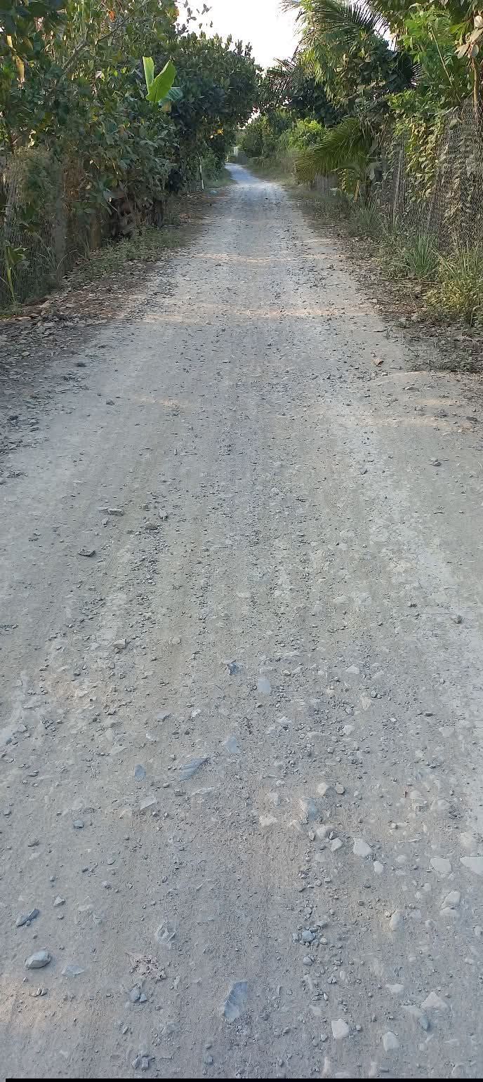 Đất nền Cái Bè 700m² giá 1.45 tỷ - Sổ đỏ chính chủ!