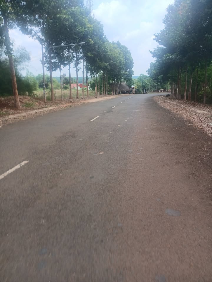 Đất Nền Lộc Ninh 175m² Mặt Tiền Nguyễn Huệ - Sổ Hồng Full Thổ Cư