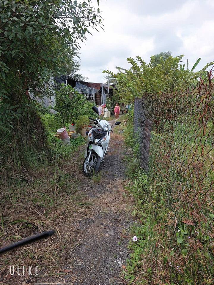 Đất Vườn 60m² Sổ Chung Giá 450 Triệu - Bình Chánh