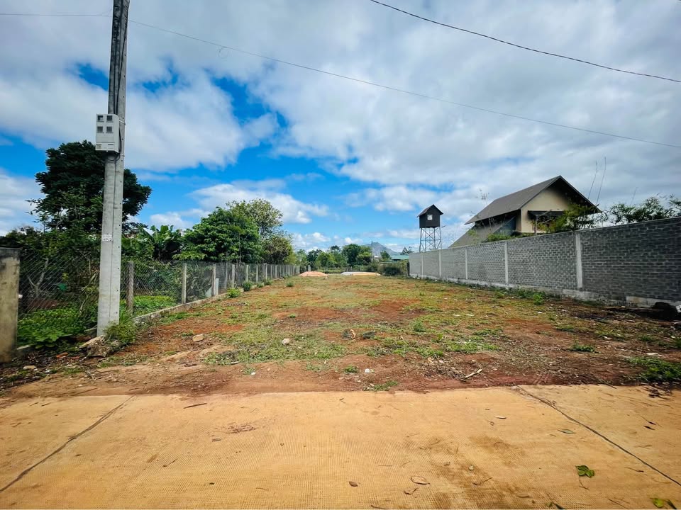 Bán Gấp 2 Lô Đất Vàng Hẻm Đào Duy Từ, Gia Lai - 125m² Giá Tốt