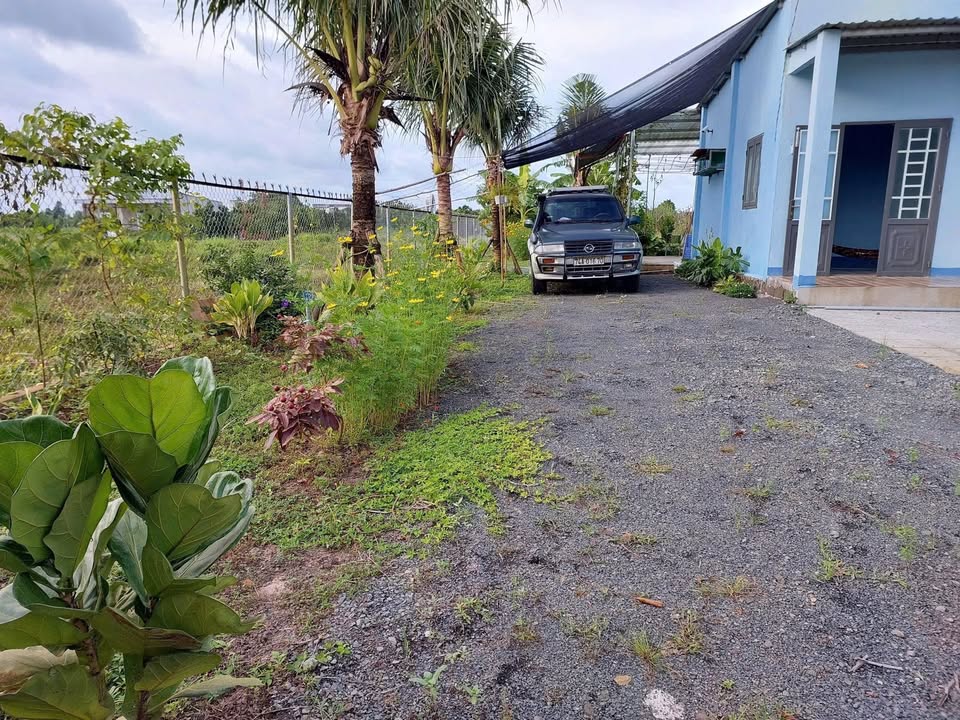 Đất Vườn Phước Long Thọ 800m² - Tiềm năng tăng giá vượt trội!