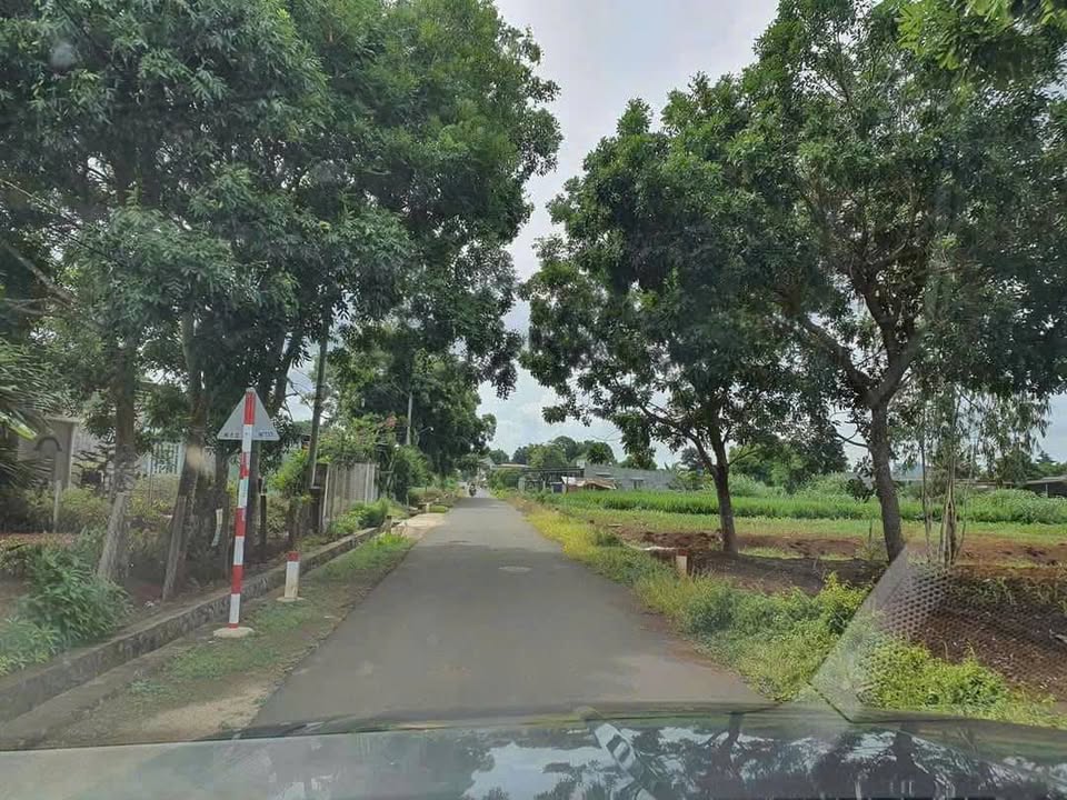 Bán Gấp Lô Góc Mặt Tiền Nhựa 422m² Nghĩa Thành, Châu Đức - Giá 3 Tỷ