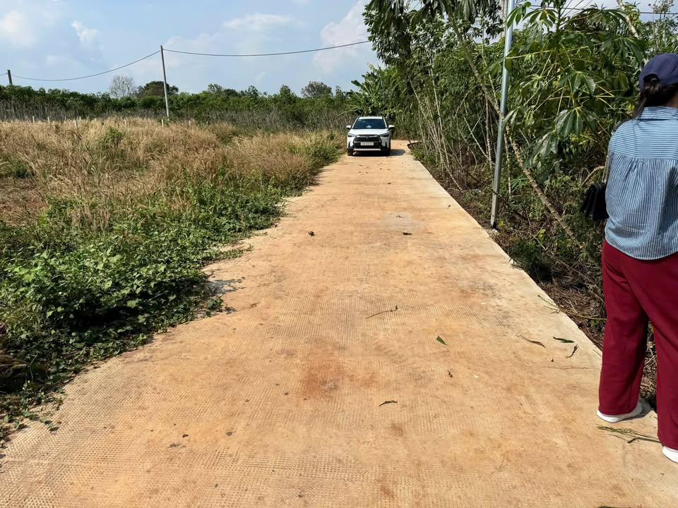 Đất Nền Biệt Thự Bình Giã Châu Đức 280m² - Sổ Hồng Sẵn Sàng