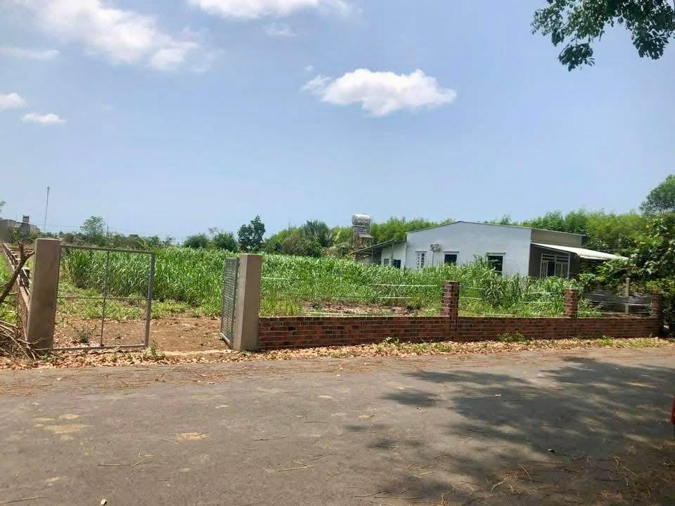 Đất nền Đường 14B, Long Tâm, Bà Rịa 5.8 tỷ - Pháp lý rõ ràng!