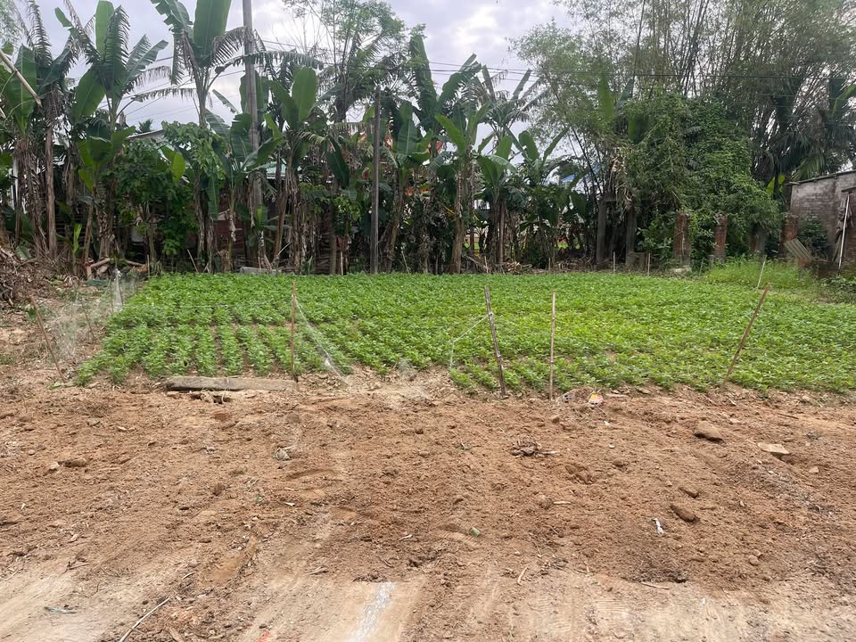 Đất Nền Mặt Tiền Sông Điện Bàn 220m² - Sổ Hồng Sẵn Sàng - Giá 1 Tỷ