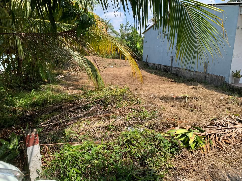 Bán Nền Đẹp Đông Hòa Hiệp, Cái Bè - 100m² Thổ Cư, Giá 870 Triệu Bao Giấy Tờ