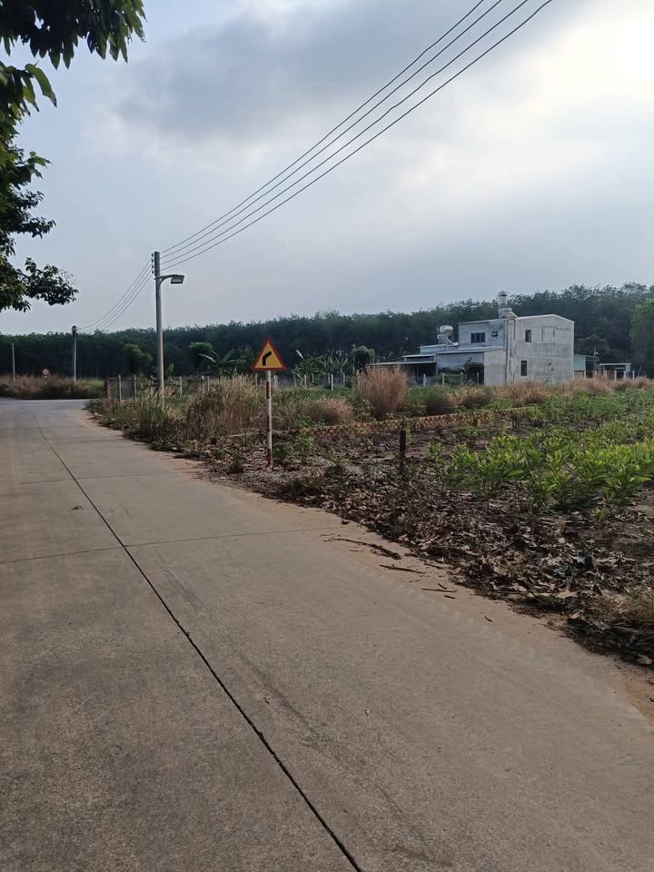 Đất nền Long Tân Dầu Tiếng 210m² - Sổ đỏ chính chủ!