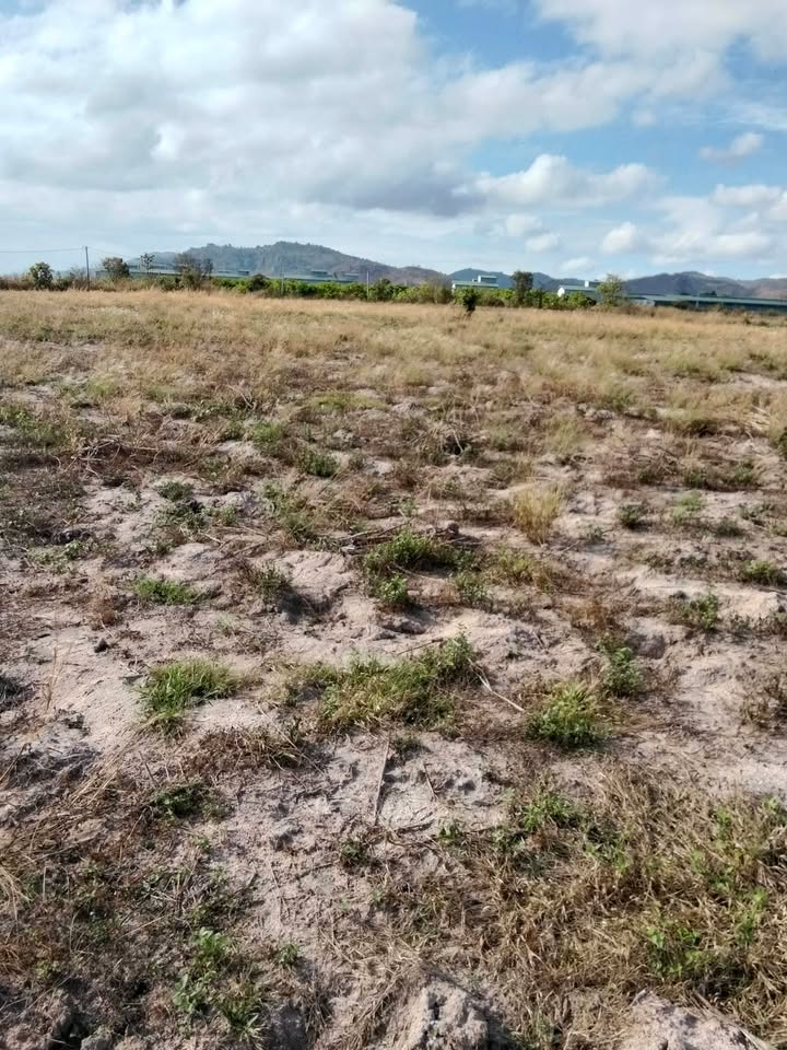 Bán 14.000m² Đất Rẫy Vị Trí Đẹp Xã Ia Hiao, Phú Thiện - Tiềm Năng Đầu Tư