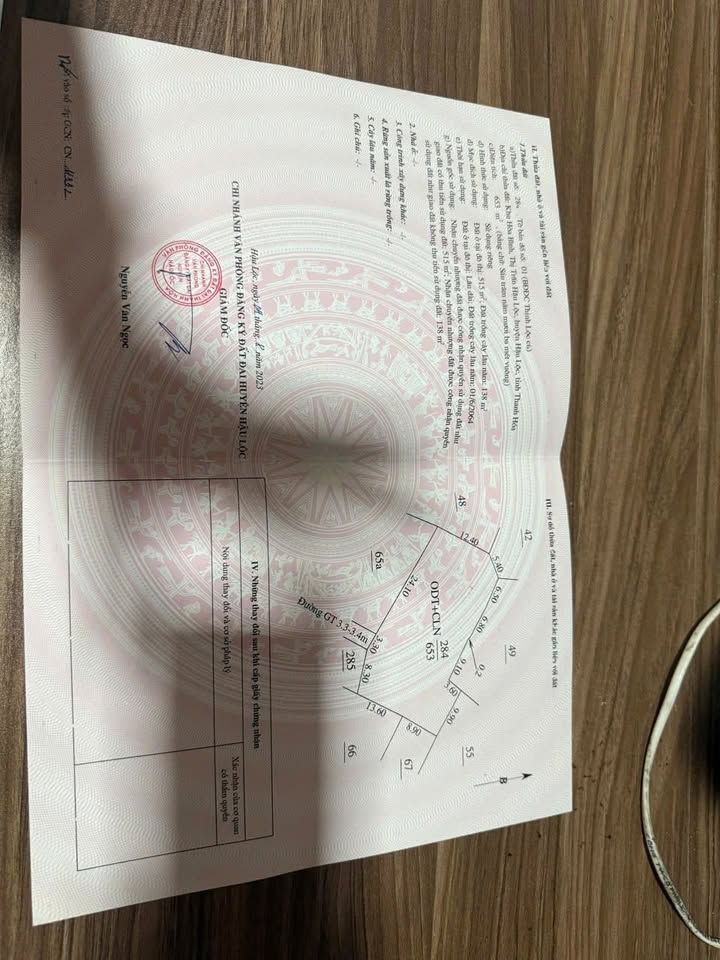 Đất Thị Trấn Hậu Lộc 653m² - Giá Đầu Tư Siêu Hời, Chia Lô Thoải Mái!