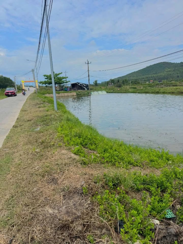 Đất nền Ninh Phú, Ninh Hòa 1315m² - Tiềm năng tăng giá vượt trội!