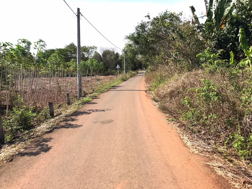 Đất Xuyên Mộc 720m² - 2 Mặt Tiền Đường Nhựa, Giá 1.3 Tỷ Đầu Tư Sinh Lời