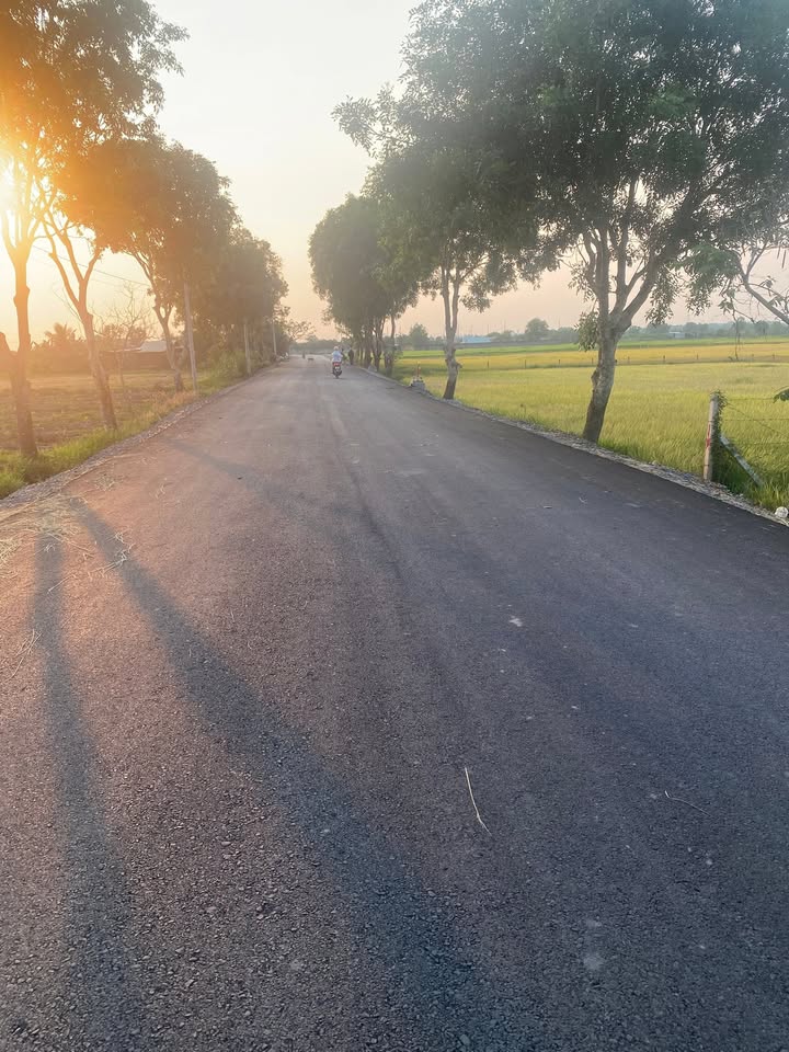 Bán Gấp Đất MT Nguyễn Thị My, Củ Chi 1200m² - Giá 4.2 Tỷ