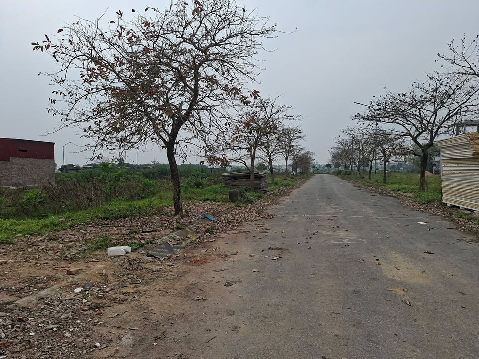 Đất KĐT Tam Đa, Bắc Ninh - 97.5m² - Giá 2.x Tỷ - Sổ Hồng Sẵn