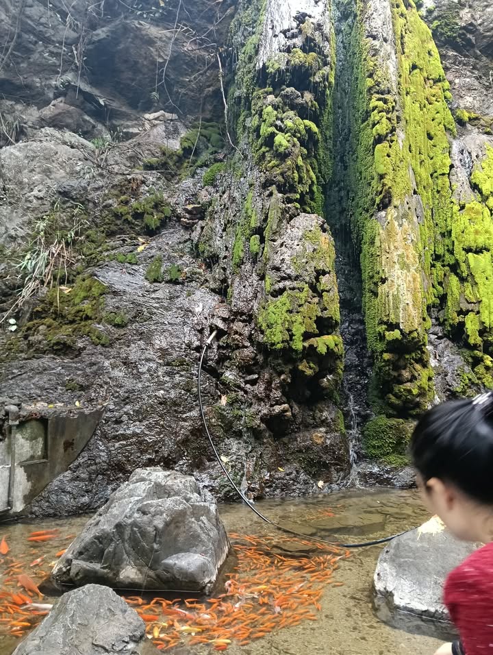 Nhà Mặt Tiền Nguyễn Trãi, TP. Thanh Hóa - 80m², 3PN, Kinh Doanh Đỉnh Cao