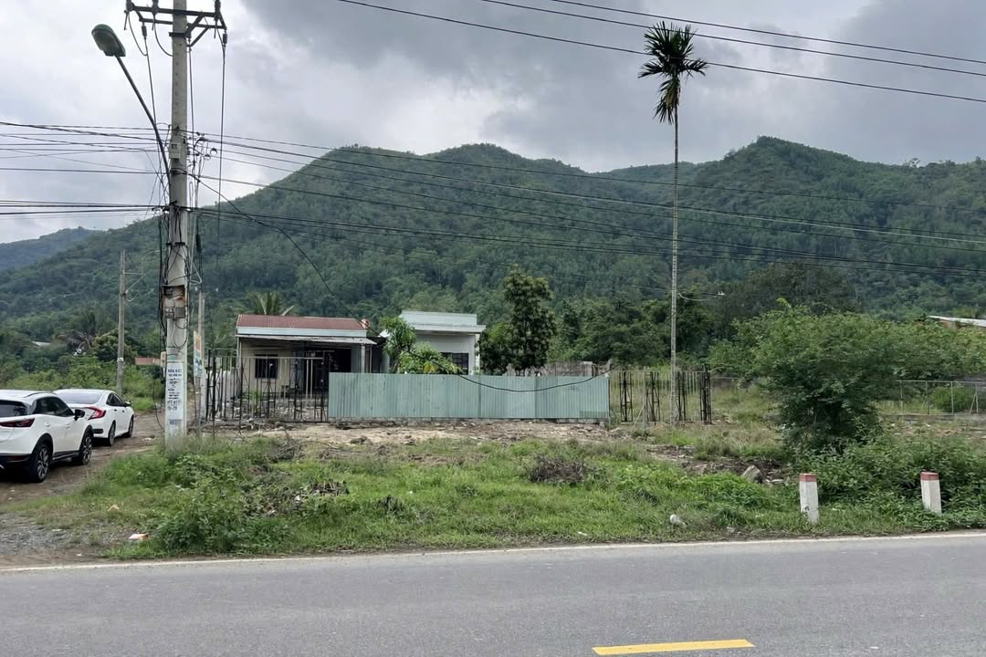 Đất Vườn 904m² Tỉnh Lộ 3 Cam Lâm - Vượng Khí, Sẵn Nhà Ở Ngay