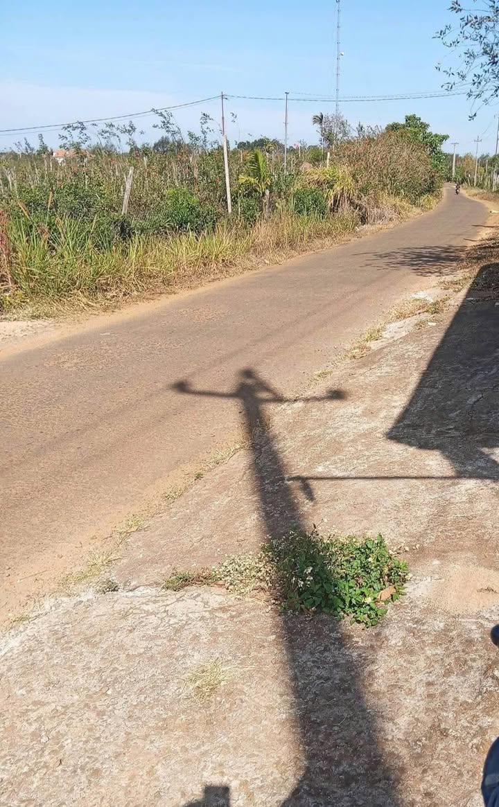 Đất Nền Cam Ranh 1400m² Mặt Tiền Nhựa - Giá 900 Triệu