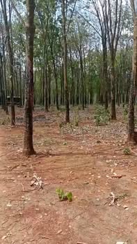 Đất vườn Nghĩa Trung Bù Đăng 5.5ha giá 4.675 tỷ - Đầu tư dài hạn!