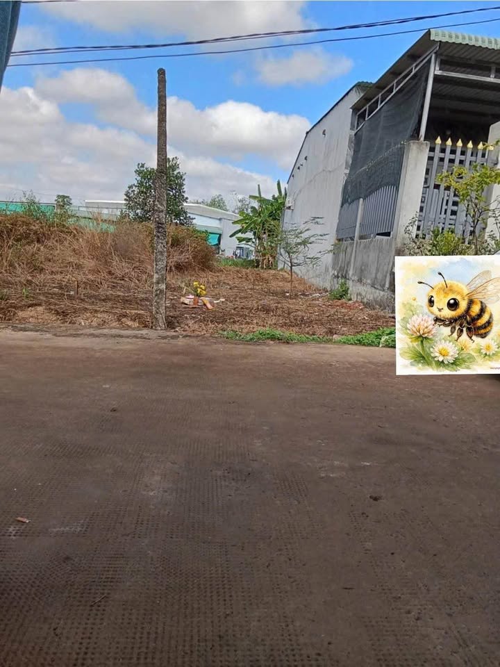 Bán Đất Tân Phú, Đồng Xoài 135m² Thổ Cư Giá 6xx Triệu - Sổ Đỏ Sẵn Sàng