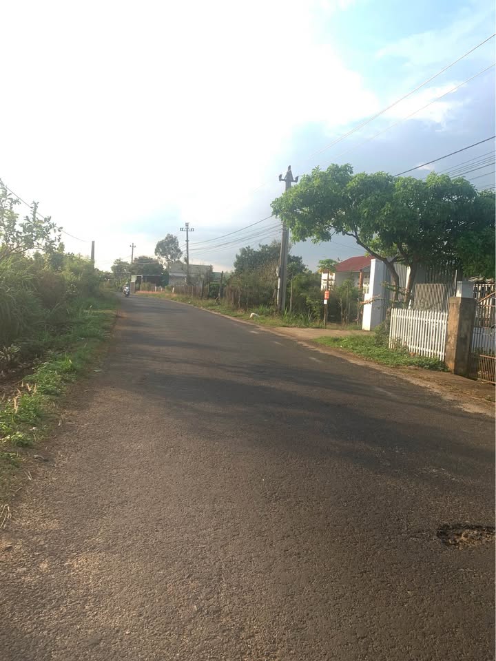 Đất nền Thôn 4 Hòa Khánh 903m² - Sổ đỏ chính chủ, view suối!