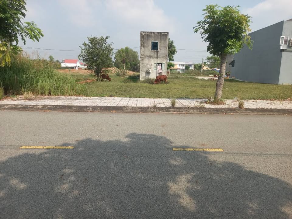 Đất nền Cát Tường Phú Sinh 100m² chỉ 1.42 tỷ - Đầu tư sinh lời!