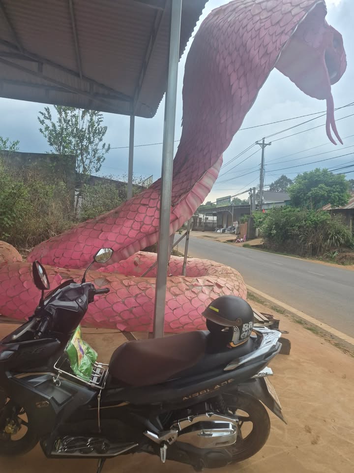 Nhà Phố Liên Hà Lâm Đồng 120m² - Mặt tiền kinh doanh siêu lợi nhuận!