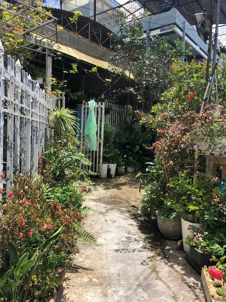 Nhà Nguyễn Văn Trỗi Đà Lạt 81m² giá 4 tỷ - Sẵn sàng ở ngay