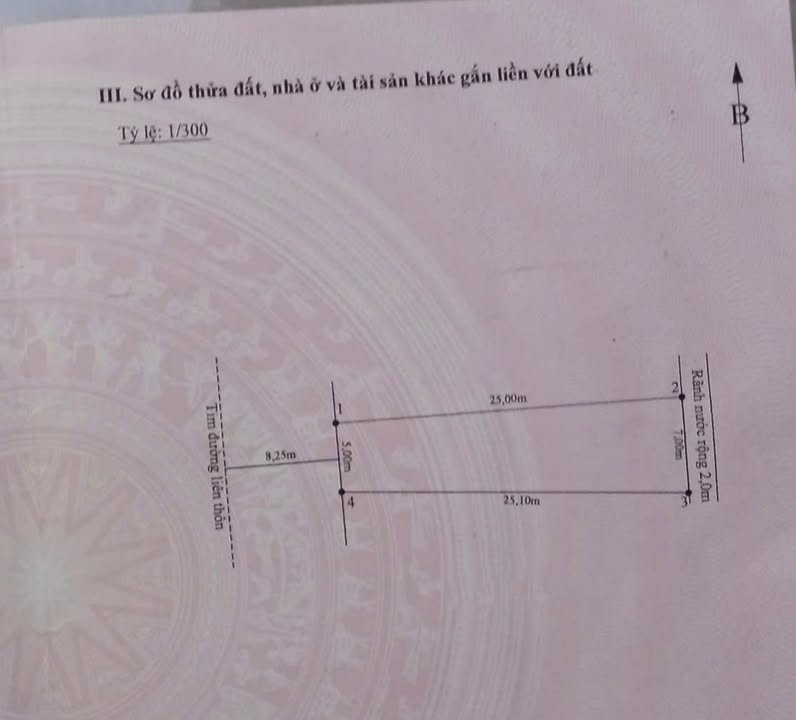 Bán Đất Tân Liên Vĩnh Bảo 150.5m² Sổ Đỏ - Sẵn Sàng Xây Dựng