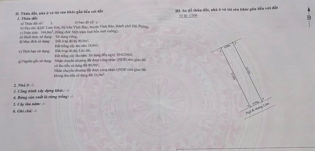 Đất nền Thị trấn Vĩnh Bảo 104m² - Đường to ô tô vào tận đất!