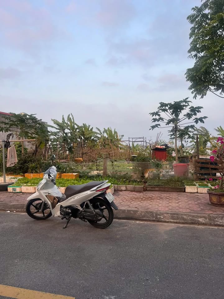 Đất nền Vĩnh Bảo, Hải Phòng - 2 lô 115m² & 180m² - Sổ đỏ sẵn sàng