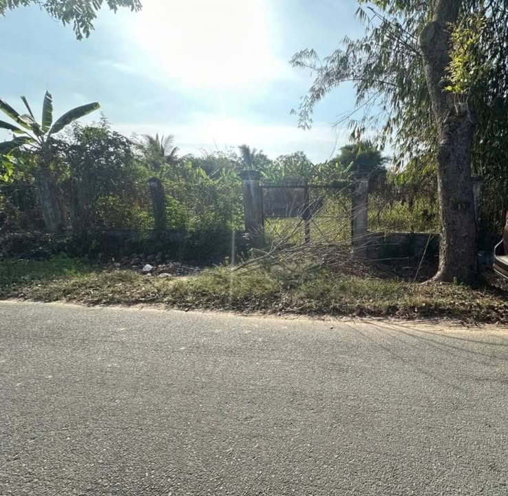 Đất nền Thái Mỹ, Củ Chi 466m² 2.9 tỷ - Đường ô tô