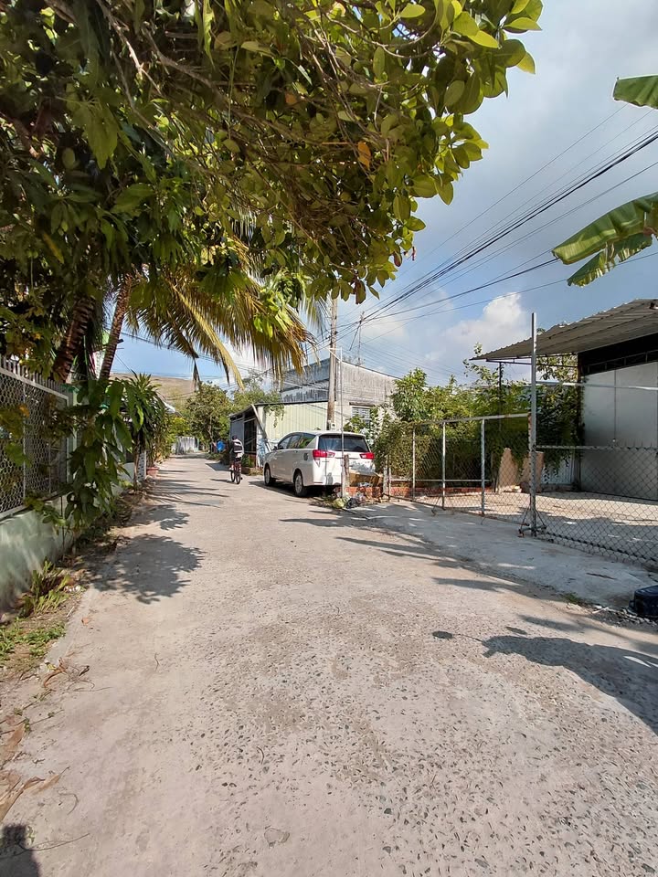 Đất Thổ Cư Cần Thơ 100m² Hẻm 6 Bùi Hữu Nghĩa - Sổ Hồng Sẵn Sàng