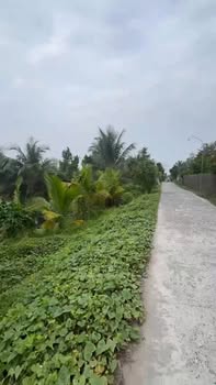 Bán Đất Nền 100m² Thổ Cư, Sổ Hồng, Gần Trung Tâm Cai Lậy