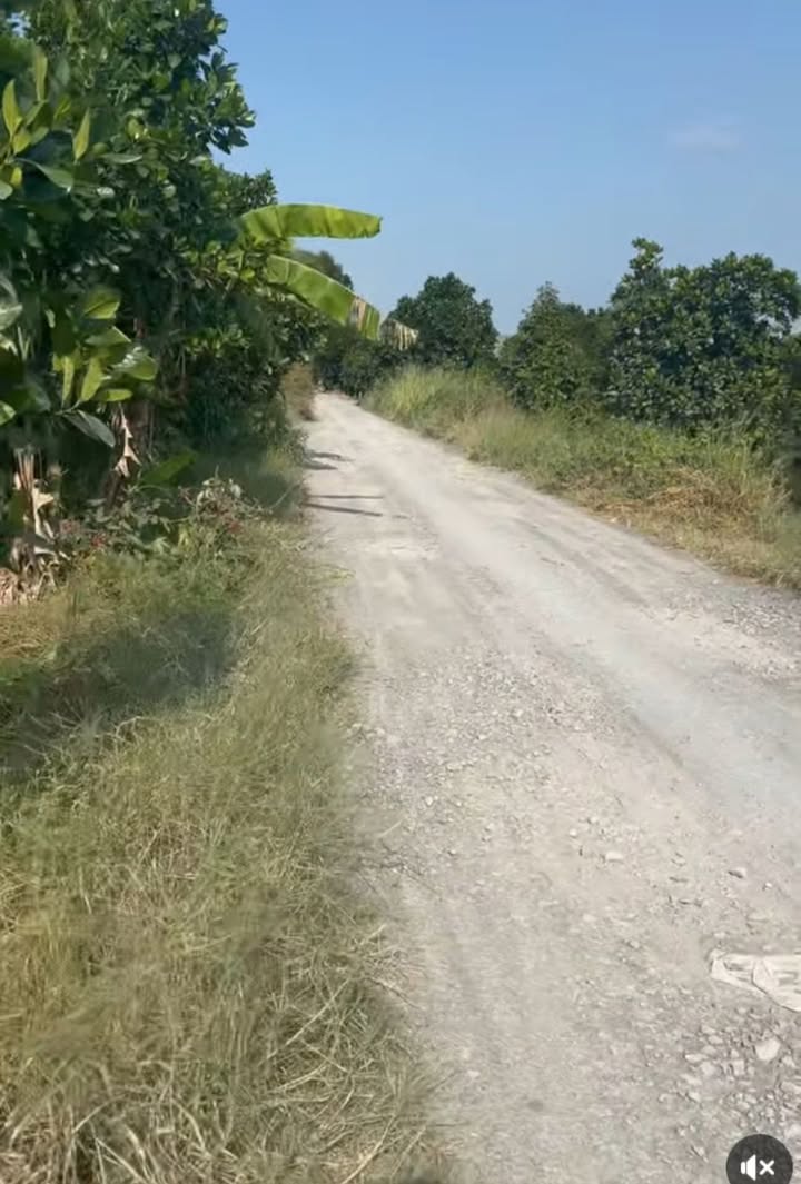 Mặt Tiền HL 82 Mỹ Trung Cũ - 697m² - 730 Triệu - Thích Hợp Kinh Doanh