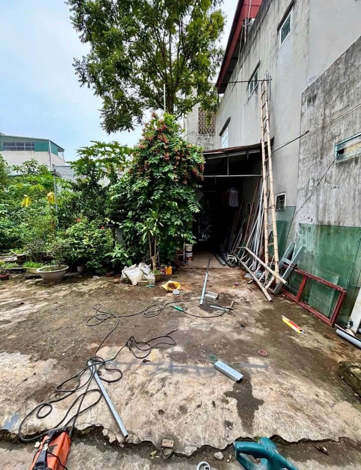 Bán Đất Vàng Đội Cung 86m² - Ngõ Ô Tô, Gần Hồ, Giá Đầu Tư 2 Tỷ