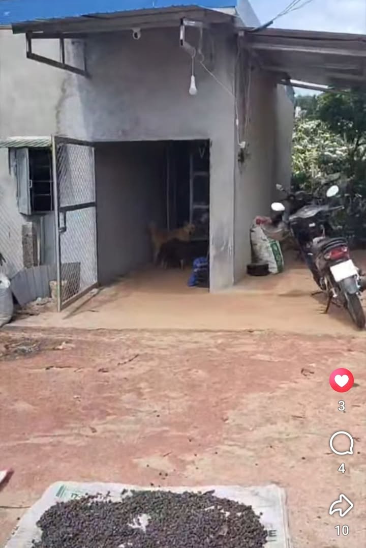 Đất Vườn 20.000m² Phúc Thọ, Lâm Hà - Giá 2.6 Tỷ, Tiềm Năng Sinh Lời Cao