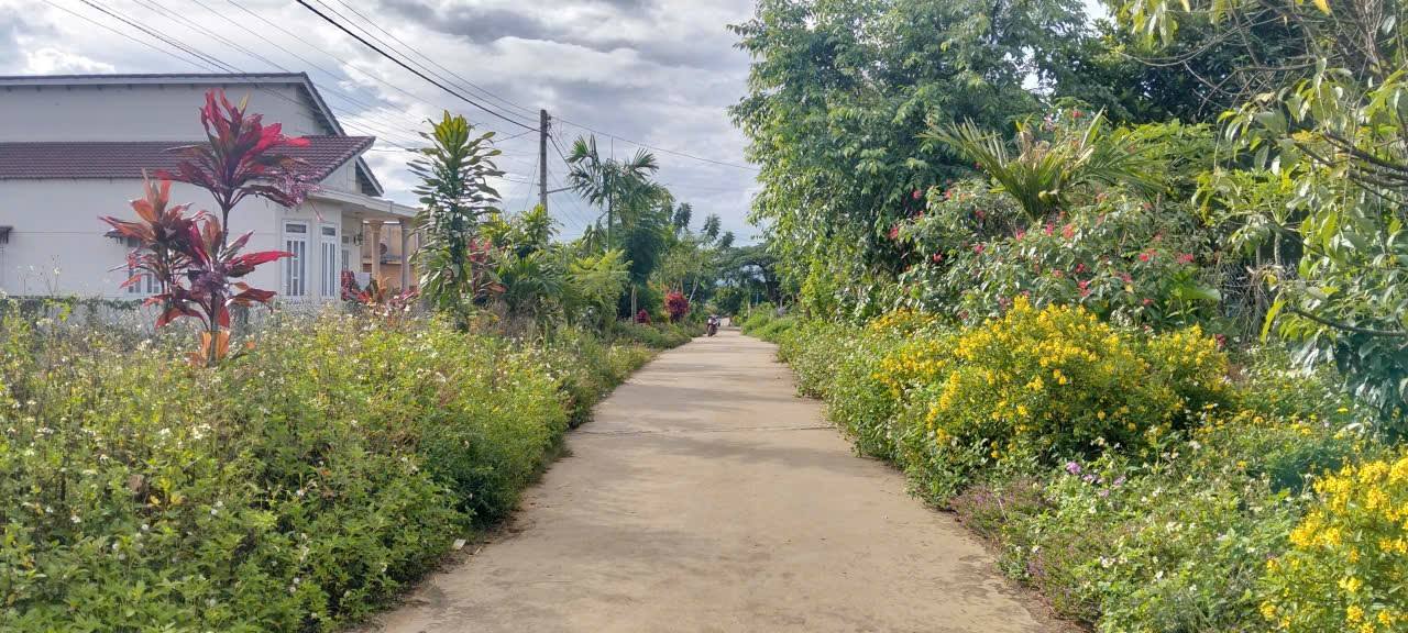 Đất Nền Sổ Hồng Riêng Quảng Lập, Đơn Dương - 549m² Giá 1 Tỷ