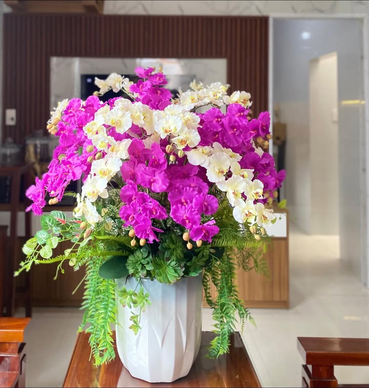 Đất Mặt Tiền Mai Hắc Đế, Buôn Hồ - 245m² Giá 1.39 Tỷ, Sẵn Sổ Hồng