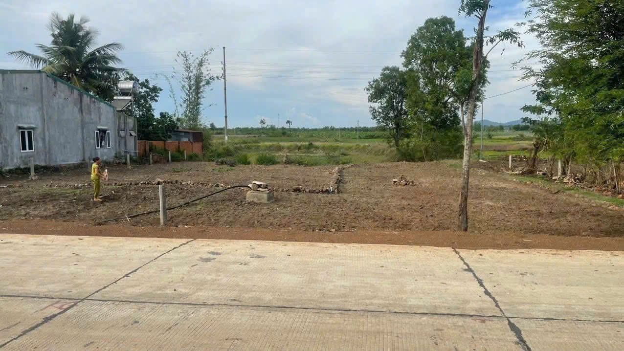 Đất Vườn Hòa Phong, Tây Hoà 10.125m² - Sinh thái xanh hiếm có!