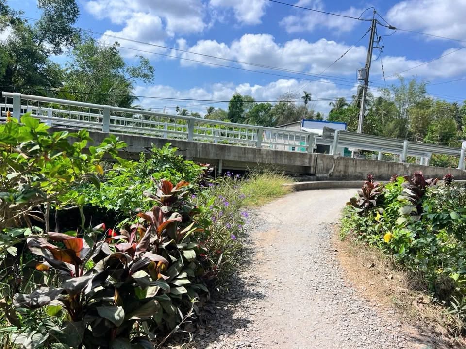 Đất nền 3129m² Mỹ Thạnh Trung Vĩnh Long - Sổ đỏ chính chủ