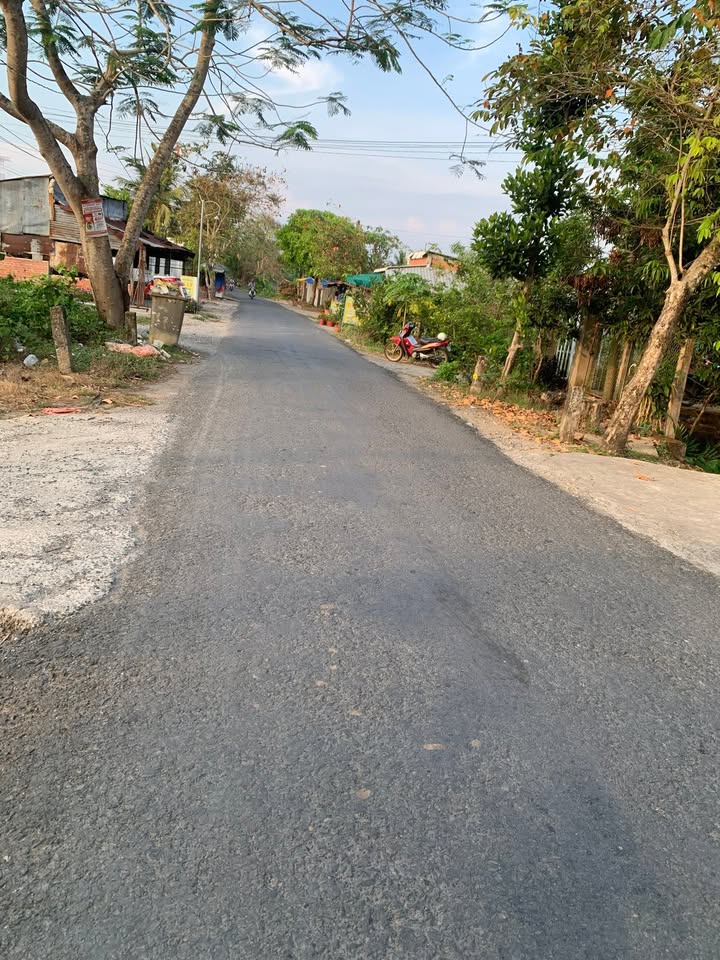 Bán đất vườn cây ăn trái 994m² Vĩnh Long - Giá 950 triệu