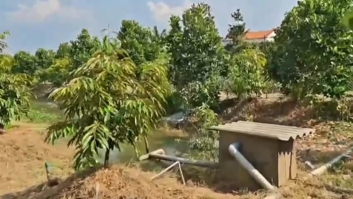 Đất Vườn Mỹ Phước Tây, Cai Lậy 4273m² - Đất vườn sinh lời dài hạn!