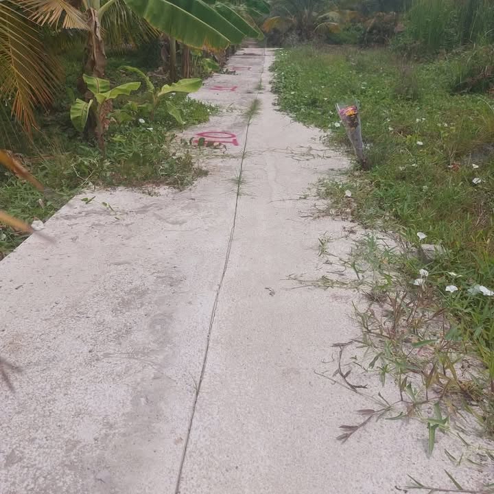 Đất nền Xã Phước Thạnh, TP Mỹ Tho 68m² giá 295 triệu - Sổ đỏ chính chủ!