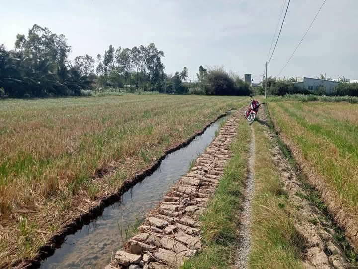 Đất Gò Công Tây 500m² - Sổ Đỏ Sẵn, Giá 200 Triệu/Lô