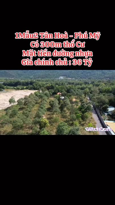 Đất Vườn Nghỉ Dưỡng 12000m² Mặt Tiền Đường Nhựa Tân Hoà - Phú Mỹ - 36 Tỷ