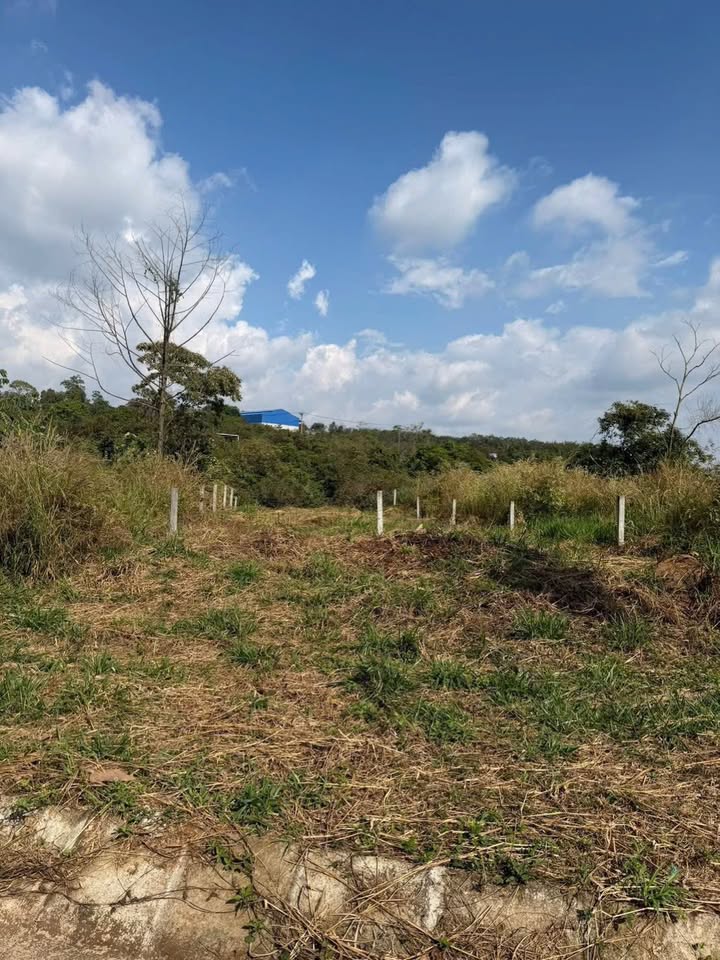 Đất Nền Mặt Tiền Tỉnh Lộ 685, Đắk Nông - 270m² Giá 1 Tỷ