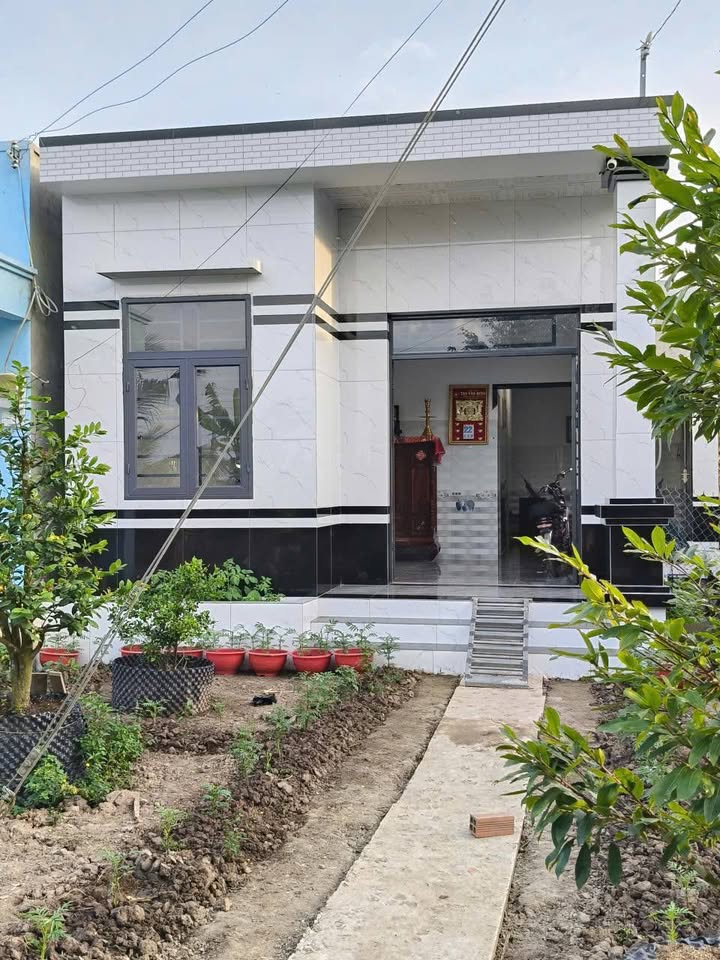 Bán Gấp Farm 3000m² Xã Minh Diệu, Bạc Liêu - Vườn Dừa, Xoài, Sổ Đỏ