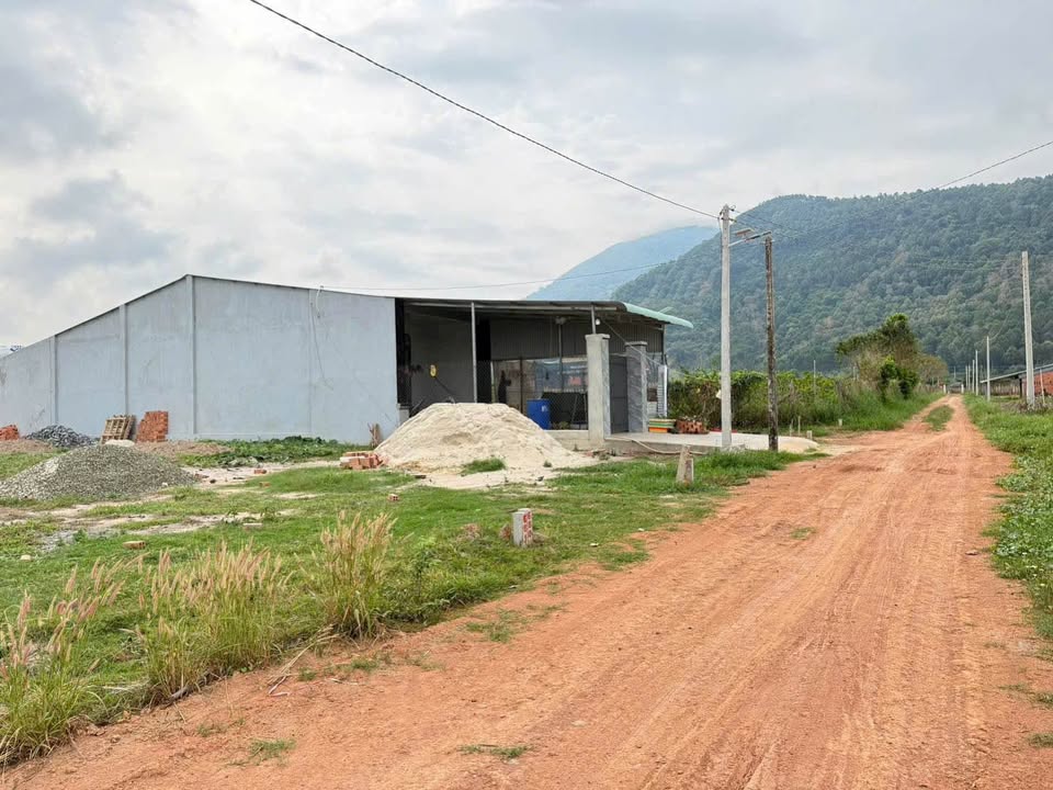 Đất nền Thành phố Tây Ninh 175m² chỉ từ 3xx triệu - Nghỉ dưỡng lý tưởng!